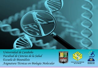 Universidad de Carabobo
Facultad de Ciencias de la Salud
Escuela de Bioanálisis
Asignatura Técnicas en Biología Molecular
FACULTAD DE CIENCIAS
DE LA SALUD
ESCUELA DE
BIOANÁLISIS
 