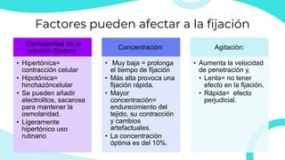 Factores pueden afectar a la fijación
Osmolaridad de la
solución fijadora:
• Hipertónica=
contracción celular
• Hipotónica=
hinchazóncelular
• Se pueden añadir
electrolitos, sacarosa
para mantener la
osmolaridad.
• Ligeramente
hipertónico uso
rutinario
Concentración:
• Muy baja = prolonga
el tiempo de fijación
• Más alta provoca una
fijación rápida.
• Mayor
concentración=
endurecimiento del
tejido, su contracción
y cambios
artefactuales.
• La concentración
óptima es del 10%.
Agitación:
• Aumenta la velocidad
de penetración y,
• Lenta= no tener
efecto en la fijación,
• Rápida= efecto
perjudicial.
 