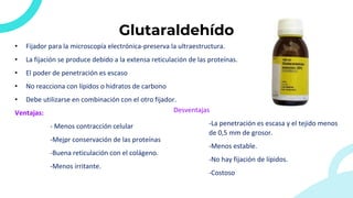 Glutaraldehído
• Fijador para la microscopía electrónica-preserva la ultraestructura.
• La fijación se produce debido a la extensa reticulación de las proteínas.
• El poder de penetración es escaso
• No reacciona con lípidos o hidratos de carbono
• Debe utilizarse en combinación con el otro fijador.
Ventajas:
- Menos contracción celular
-Mejpr conservación de las proteínas
-Buena reticulación con el colágeno.
-Menos irritante.
Desventajas
-La penetración es escasa y el tejido menos
de 0,5 mm de grosor.
-Menos estable.
-No hay fijación de lípidos.
-Costoso
 