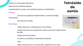Tetróxido
de
osmio
Fijación en microscopía electrónica.
Reacciona las moléculas lipídicas
La penetración es escasa, con cantidad proteínas y carbohidratos
Ventajas:
-Conserva los orgánulos citoplasmáticos, cuerpos de Golgi y
mitocondrias
-No endurece el tejido.
Desventajas:
- Debe utilizarse en combinación con otro fijador.
-Puede reaccionar con el grupo de la ribosa y provocar la aglutinación
del ADN.
-Inflamación de los tejidos.
-Es tóxico y se volatiliza a temperatura ambiente.
-Caro.
-Debe almacenarse en un vial de vidrio, alejado de la luz solar.
 