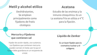Metil y alcohol etílico Acetona
Deshidratantes,
Se emplean
principalmente como
fijadores de frotis
citológico
Mercurio y Fijadores
que contienen sal
Líquido de Zenker
Estudio de las enzimas y la
inmuno-citoquímica. Es un
La acetona fría se utiliza a 4 °C
para la fijación.
Fijador de acción rápida, una sustancia.
Los fijadores que contienen mercurio
pueden corroer el metal, por lo que el
fijador debe guardarse en un recipiente de
cristal.
Es un buen fijador para la
cromatina nuclear y el
colágeno.
 