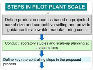 Pilot plant scaleup.pptx