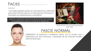 Facies “Faciei” (lat.) cara, faz, fachada, aspecto exterior.
Aspecto o expresión fisonómica del paciente, que orienta
en el diagnóstico clínico a través de la inspección.
“Las huellas digitales podrán ser más especificas y diferentes
para cada individuo, pero es un hecho que los individuos se
distinguen principalmente por su semblante.”
Retrato de San Jerónimo (Van Reymerswaele,
1533- 1545).
FASCIE NORMAL
COMPUESTA  Expresiva e inteligente, atenta, con la mirada vivaz y
exploradora por tono armonioso y apropiado de los músculos faciales y
externos de los ojos.
 