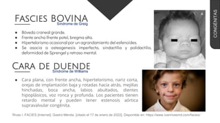 ● Bóveda craneal grande.
● Frente ancha (frente pote), bregma alta.
● Hipertelorismo ocasional por un agrandamiento del esfenoides.
● Se asocia a osteogenesis imperfecta, sindactilia y polidactilia,
deformidad de Sprengel y retraso mental.
Fascies BOVINA
Síndrome de Greig
● Cara plana, con frente ancha, hipertelorismo, nariz corta,
orejas de implantación baja y rotadas hacia atrás, mejillas
hinchadas, boca ancha, labios abultados, dientes
hipoplásicos, voz ronca y profunda. Los pacientes tienen
retardo mental y pueden tener estenosis aórtica
supravalvular congénita.
Cara de duende
Síndrome de Williams
Rivas I. FACIES [Internet]. Gastro Mérida. [citado el 17 de enero de 2022]. Disponible en: https://www.ivanrivasmd.com/facies/
CONGÉNITAS
 