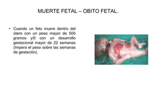 MUERTE FETAL – OBITO FETAL.
• Cuando un feto muere dentro del
útero con un peso mayor de 500
gramos y/0 con un desarrollo
gestacional mayor de 22 semanas
(Impera el peso sobre las semanas
de gestación).
 
