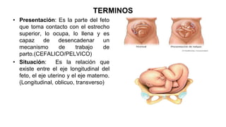 TERMINOS
• Presentación: Es la parte del feto
que toma contacto con el estrecho
superior, lo ocupa, lo llena y es
capaz de desencadenar un
mecanismo de trabajo de
parto.(CEFALICO/PELVICO)
• Situación: Es la relación que
existe entre el eje longitudinal del
feto, el eje uterino y el eje materno.
(Longitudinal, oblicuo, transverso)
 