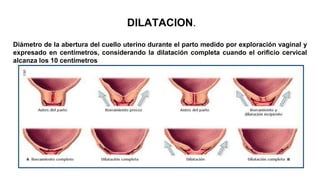DILATACION.
Diámetro de la abertura del cuello uterino durante el parto medido por exploración vaginal y
expresado en centímetros, considerando la dilatación completa cuando el orificio cervical
alcanza los 10 centímetros
 