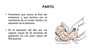 PARTO.
• Fenómeno que ocurre al final del
embarazo y que termina con el
nacimiento de un recién nacido y la
expulsión de la placenta.
• Es la expulsión del feto por vía
vaginal, mayor de 22 semanas de
gestación y/o con peso mayor de
500 gramos.
 
