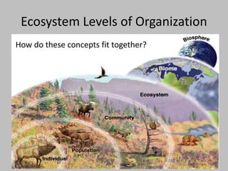 Ecosystem Levels of Organization
How do these concepts fit together?
 