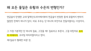 왜 모든 물질은 유황과 수은의 변형인가?
연금술이 탄생한 고대 알렉산드리아에서부터 연금술이 번창한 중세 유럽까지 변하지
않았던 전제가 하나가 있다. 바로 우주는 단 하나의 무언가로 만들어졌다는 사상이다.
그 가장 기본적인 단 하나의 질료, 그것을 제1 질료라고 부른다. 그걸 라틴어로 프리
마 마테리아, 프라임 머티리얼이라고 한다.
제1질료가 형태만 바꾼 것.
 