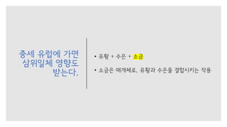 중세 유럽에 가면
삼위일체 영향도
받는다.
• 유황 + 수은 + 소금
• 소금은 매개체로, 유황과 수은을 결합시키는 작용
 