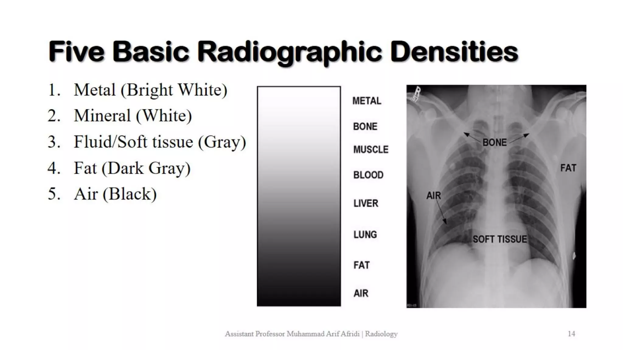 1. Introduction to Radiology.pdf