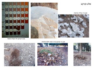 ‫וקרקע‬ ‫סלע‬
‫טרשית‬ ‫בבליה‬ ‫גיר‬ ‫אבן‬
‫טרה‬ ‫וקרקע‬ ‫גיר‬ ‫אבן‬
‫רוסה‬
‫חומה‬
-
‫אדומה‬
‫סקלת‬ ‫לפי‬ ‫הקרקע‬ ‫צבע‬
‫מונסל‬
 