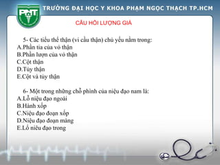 CÂU HỎI LƯỢNG GIÁ
5- Các tiểu thể thận (vi cầu thận) chủ yếu nằm trong:
A.Phần tia của vỏ thận
B.Phần lượn của vỏ thận
C.Cột thận
D.Tủy thận
E.Cột và tủy thận
6- Một trong những chỗ phình của niệu đạo nam là:
A.Lỗ niệu đạo ngoài
B.Hành xốp
C.Niệu đạo đoạn xốp
D.Niệu đạo đoạn màng
E.Lổ niêu đạo trong
 
