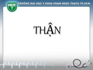 THẬN
 