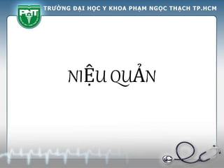 NIỆU QUẢN
 