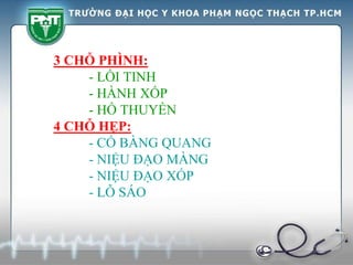 3 CHỖ PHÌNH:
- LỒI TINH
- HÀNH XỐP
- HỐ THUYỀN
4 CHỖ HẸP:
- CỔ BÀNG QUANG
- NIỆU ĐẠO MÀNG
- NIỆU ĐẠO XỐP
- LỖ SÁO
 