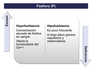 TO THE HEIGHT OF YOUR DREAMS
Hiperfosfatemia
Concentración
elevada de fósforo
en sangre
Afecta la
homeostasis del
Ca++
Hipofosfatemia
Es poco frecuente
A largo plazo genera
raquitismo y
osteomalacia
Exceso
Deficiencia
Fósforo (P)
 