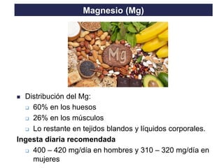 TO THE HEIGHT OF YOUR DREAMS
◼ Distribución del Mg:
❑ 60% en los huesos
❑ 26% en los músculos
❑ Lo restante en tejidos blandos y líquidos corporales.
Ingesta diaria recomendada
❑ 400 – 420 mg/día en hombres y 310 – 320 mg/día en
mujeres
Magnesio (Mg)
 