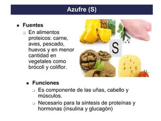 TO THE HEIGHT OF YOUR DREAMS
◼ Fuentes
❑ En alimentos
proteicos: carne,
aves, pescado,
huevos y en menor
cantidad en
vegetales como
brócoli y coliflor.
Azufre (S)
◼ Funciones
❑ Es componente de las uñas, cabello y
músculos.
❑ Necesario para la síntesis de proteínas y
hormonas (insulina y glucagón)
 