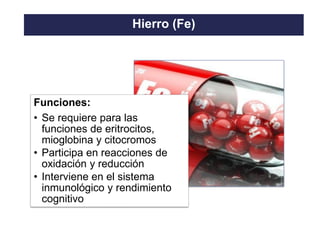 TO THE HEIGHT OF YOUR DREAMS
Hierro (Fe)
Funciones:
• Se requiere para las
funciones de eritrocitos,
mioglobina y citocromos
• Participa en reacciones de
oxidación y reducción
• Interviene en el sistema
inmunológico y rendimiento
cognitivo
 