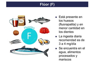 TO THE HEIGHT OF YOUR DREAMS
◼ Está presente en
los huesos
(fluorapatita) y en
menor cantidad en
los dientes
◼ La ingesta diaria
recomendad es de
3 a 4 mg/día
◼ Se encuentra en el
agua, alimentos
procesados y
mariscos
Flúor (F)
 