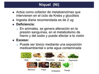 TO THE HEIGHT OF YOUR DREAMS
◼ Actúa como cofactor de metaloenzimas que
intervienen en el ciclo de Krebs y glucólisis
◼ Ingesta diaria recomendada es de 2 ug
◼ Deficiencia:
❑ En animales, se genera alteración en la
presión sanguínea, en el metabolismo de
hierro y del sodio y puede afectar a la visión
◼ Exceso:
❑ Puede ser tóxico mediante una exposición
medioambiental o ante agua contaminada
Níquel (Ni)
Soja Nuez Chocolate Avena Espinacas
Mariscos Frejol
Enlatados Perejil
 
