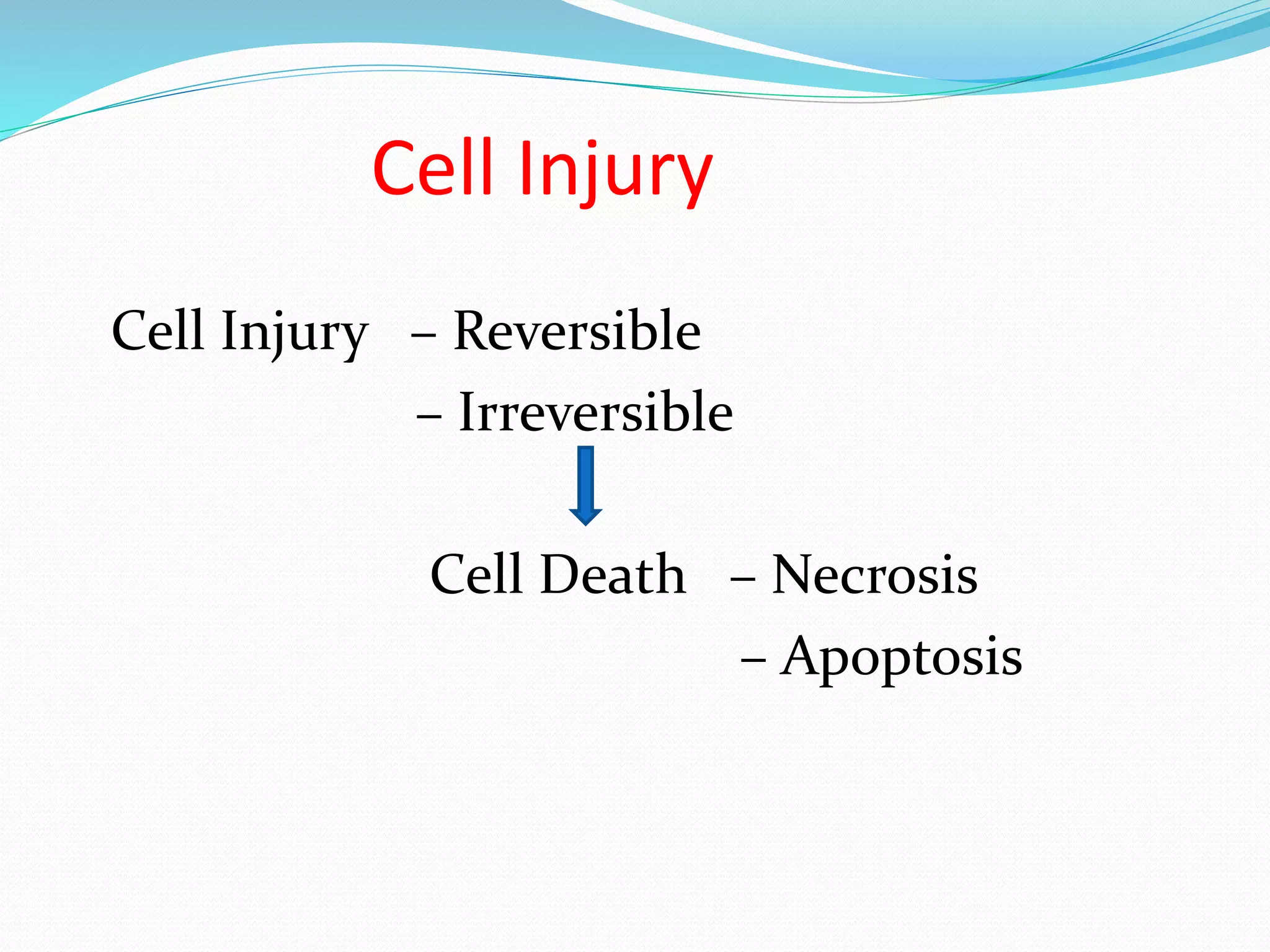 1.1 Cell Injury and Cell Death.pptx