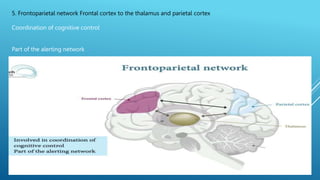 1.pptx