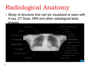 1. introduction to anatomy and physiology.pptx