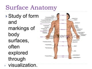 1. introduction to anatomy and physiology.pptx
