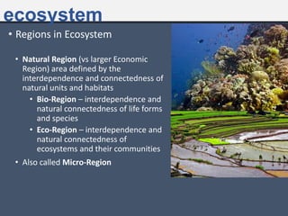 ecosystem
• Regions in Ecosystem
• Natural Region (vs larger Economic
Region) area defined by the
interdependence and connectedness of
natural units and habitats
• Bio-Region – interdependence and
natural connectedness of life forms
and species
• Eco-Region – interdependence and
natural connectedness of
ecosystems and their communities
• Also called Micro-Region
 