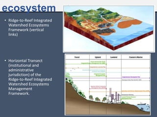 ecosystem
• Ridge-to-Reef Integrated
Watershed Ecosystems
Framework (vertical
links)
• Horizontal Transect
(institutional and
administrative
jurisdiction) of the
Ridge-to-Reef Integrated
Watershed Ecosystems
Management
Framework.
 
