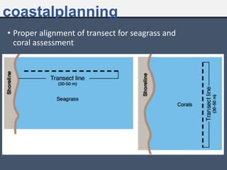 • Proper alignment of transect for seagrass and
coral assessment
coastalplanning
 