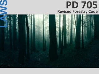 LAW
Revised Forestry Code
PD 705
 