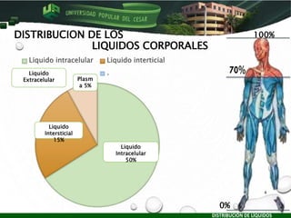 DISTRIBUCION DE LOS
LIQUIDOS CORPORALES
Liquido intracelular Liquido interticial
Plasma .
Liquido
Extracelular
Liquido
Intracelular
50%
Plasm
a 5%
Liquido
Intersticial
15%
DISTRIBUCIÓN DE LÍQUIDOS
4
100%
0%
 