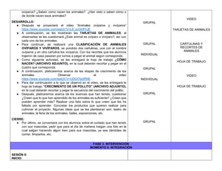 ovíparos? ¿Saben como nacen los animales? ¿Han visto o saben cómo o
de donde nacen esos animales?
DESARROLLO:
● Después se proyectará el video “Animales ovíparos y vivíparos”
https://www.youtube.com/watch?v=L6_evGHFhJE
● A continuación, se les mostrarán las TARJETAS DE ANIMALES, al
observarlas se les cuestionará ¿Este animal es ovíparo o vivíparo?, así con
cada uno de los animales.
● Para continuar, se realizará una CLASIFICACIÓN DE ANIMALES
OVÍPAROS Y VIVÍPAROS, se pondrán dos cartulinas, una con el nombre
ovíparos y en otra cartulina los vivíparos. Con los recortes que los alumnos
trajeron de casa pasaran por turnos a pegar el animal según corresponda.
● Como siguiente actividad, se les entregará la hoja de trabajo ¿CÓMO
NACEN? (ARCHIVO ADJUNTO), en la cual deberán recortar y pegar en el
cuadro que corresponda.
● A continuación, platicaremos acerca de las etapas de crecimiento de los
animales. Observar el video
https://www.youtube.com/watch?v=UDGITlq0RNE .
● Para dar continuación a lo que se observó en el video, se les entregará la
hoja de trabajo “CRECIMIENTO DE UN POLLITO” (ARCHIVO ADJUNTO),
en la cual deberán recortar y pegar la secuencia del crecimiento del pollito.
● Después, platicaremos acerca de los avances que han tenido, cuestionar
¿Creen que lo que han aprendido de los animales es suficiente? ¿Creen que
pueden aprender más? Realizar una lista sobre lo que creen que les ha
faltado por aprender. Concretar los productos que quieren realizar para
culminar el proyecto. Algunas ideas que se les plantearan son: teatro de
animales, la feria de los animales, bailes, exposiciones, etc.
CIERRE:
● Por último, se conversará con los alumnos sobre el cuidado que han tenido
con sus mascotas, pedir que para el día de mañana traigan una foto en la
cual salgan haciendo algún bien para sus mascotas, ya sea dándoles de
comer, limpiarlos, etc.
GRUPAL
GRUPAL
INDIVIDUAL
GRUPAL
INDIVIDUAL
GRUPAL
GRUPAL
VIDEO
TARJETAS DE ANIMALES
CARTULINAS Y
RECORTES DE
ANIMALES
HOJA DE TRABAJO
VIDEO
HOJA DE TRABAJO
FASE 3. INTERVENCIÓN
MOMENTO 8. INTEGRACIÓN
SESIÓN 9:
INICIO:
 