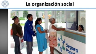 La organización social
 