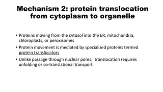 Protein Relocation 1.Intracellular Transport.pdf