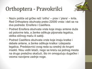 Orthoptera - Pravokrilci
• Naziv potiče od grčke reči ’ortho’ – prav i ’ptera’ – krila.
Red Orthoptera obuhvata preko 22000 vrsta i deli se na
dva podreda: Ensifera i Caelifera.
• Podred Ensifera obuhvata vrste koje imaju antene duže
od polovine tela, a ženke odlikuje pljosnata legalica,
oblika sličnog maču ili sablji.
• Podred Caelifera obuhvata vrste koje imaju kratke i
debele antene, a ženke odlikuje kratka i zdepasta
legalica. Predstavnici ovog reda su srednji do krupni
insekti. Nisu vešti letači, nego se kreću sa jednog mesta
na drugo pretežno skačući, što im omogućuju dugačke i
veoma razvijene zadnje noge.
 