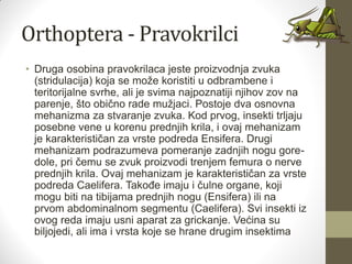Orthoptera - Pravokrilci
• Druga osobina pravokrilaca jeste proizvodnja zvuka
(stridulacija) koja se može koristiti u odbrambene i
teritorijalne svrhe, ali je svima najpoznatiji njihov zov na
parenje, što obično rade mužjaci. Postoje dva osnovna
mehanizma za stvaranje zvuka. Kod prvog, insekti trljaju
posebne vene u korenu prednjih krila, i ovaj mehanizam
je karakterističan za vrste podreda Ensifera. Drugi
mehanizam podrazumeva pomeranje zadnjih nogu gore-
dole, pri čemu se zvuk proizvodi trenjem femura o nerve
prednjih krila. Ovaj mehanizam je karakterističan za vrste
podreda Caelifera. Takođe imaju i čulne organe, koji
mogu biti na tibijama prednjih nogu (Ensifera) ili na
prvom abdominalnom segmentu (Caelifera). Svi insekti iz
ovog reda imaju usni aparat za grickanje. Većina su
biljojedi, ali ima i vrsta koje se hrane drugim insektima
 