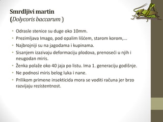 Smrdljivimartin
(Dolycoris baccarum)
• Odrasle stenice su duge oko 10mm.
• Prezimljava Imago, pod opalim lišdem, starom korom,...
• Najbrojniji su na jagodama i kupinama.
• Sisanjem izazivaju deformaciju plodova, prenosedi u njih i
neugodan miris.
• Ženka polaže oko 40 jaja po listu. Ima 1. generaciju godišnje.
• Ne podnosi miris belog luka i nane.
• Prilikom primene insekticida mora se voditi računa jer brzo
razvijaju rezistentnost.
 