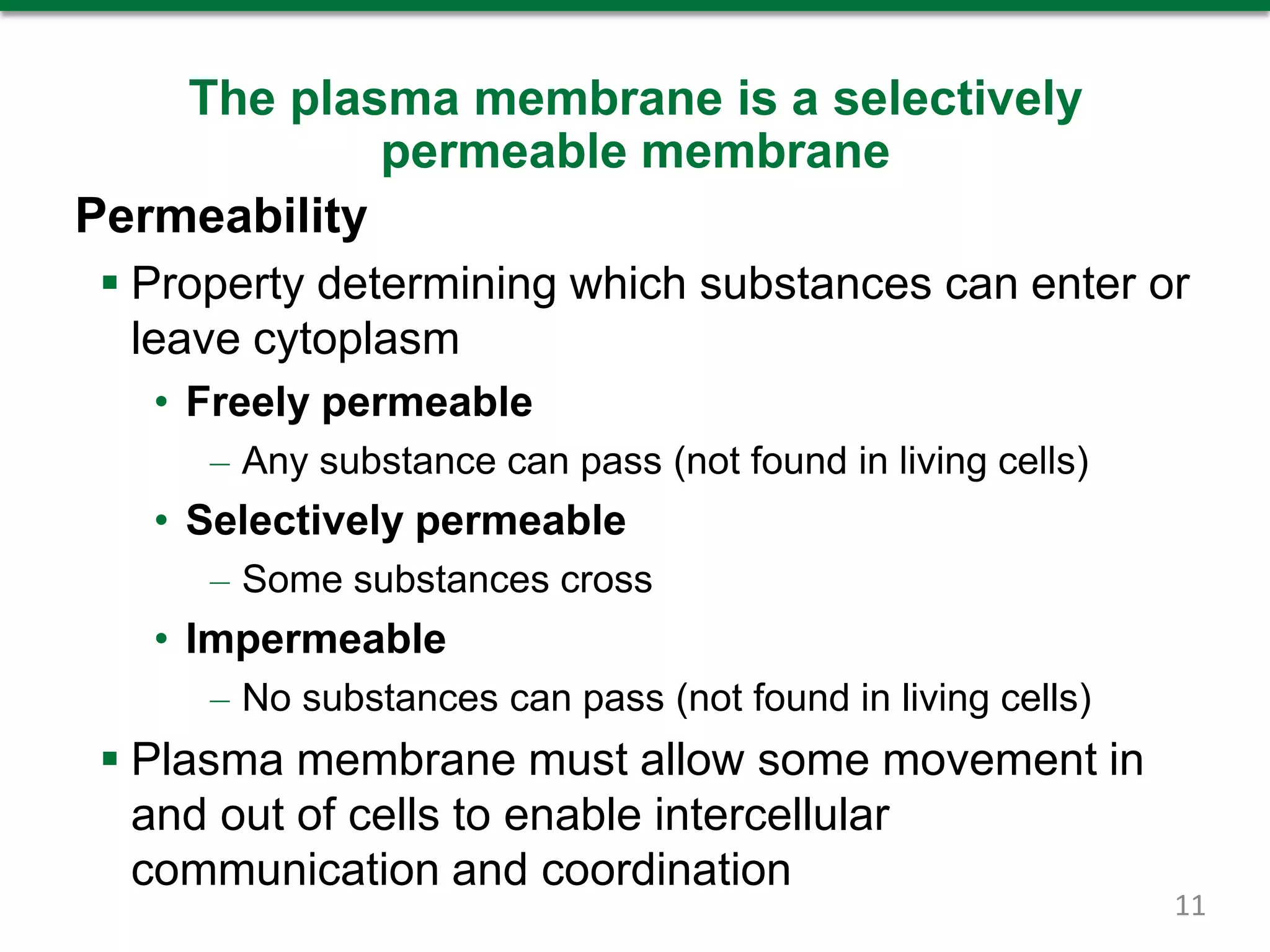 The plasma membrane is a selectively
permeable membrane
Permeability
 Property determining which substances can enter or
leave cytoplasm
• Freely permeable
– Any substance can pass (not found in living cells)
• Selectively permeable
– Some substances cross
• Impermeable
– No substances can pass (not found in living cells)
 Plasma membrane must allow some movement in
and out of cells to enable intercellular
communication and coordination
11
 