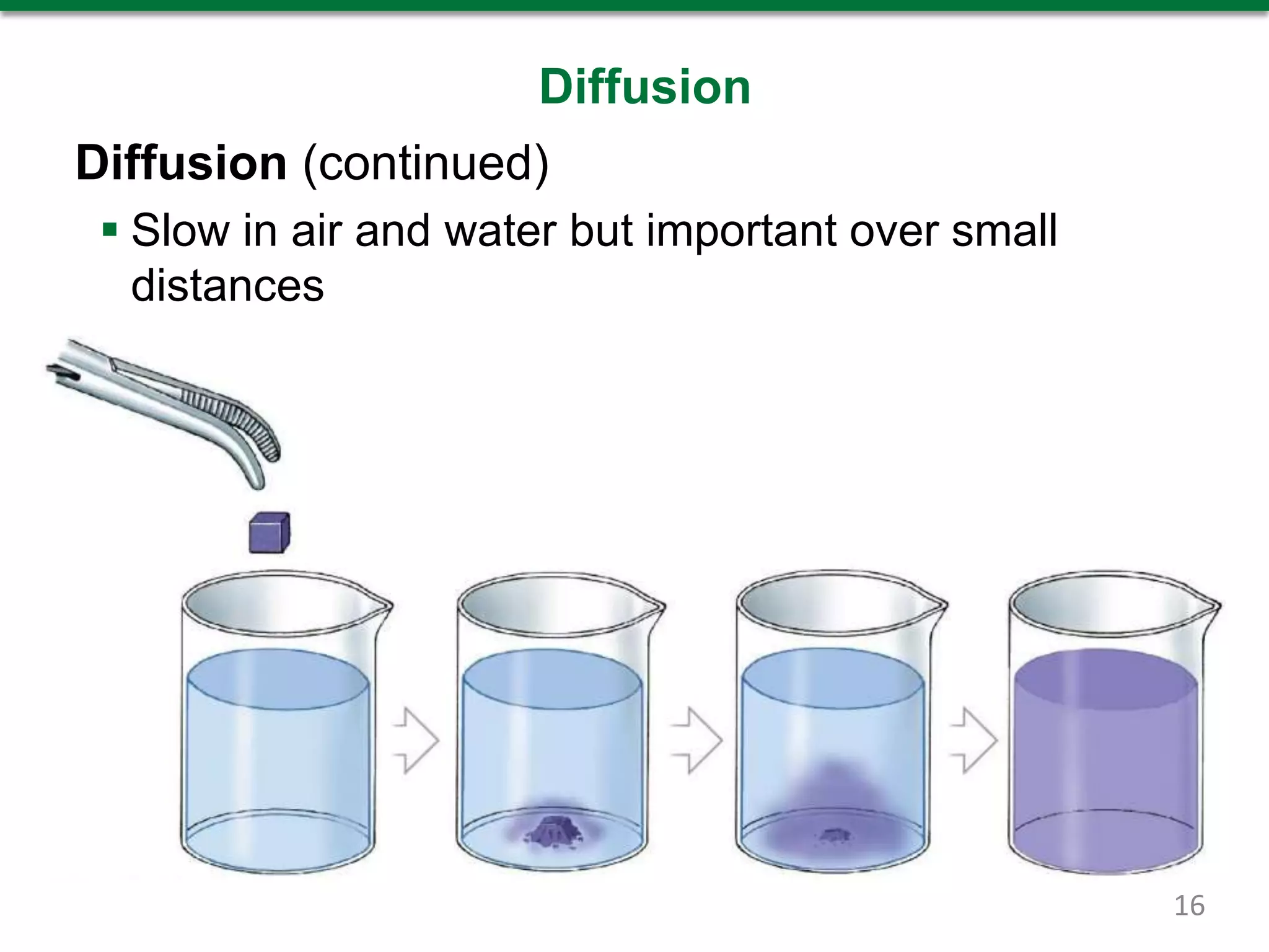 Diffusion
Diffusion (continued)
 Slow in air and water but important over small
distances
16
 