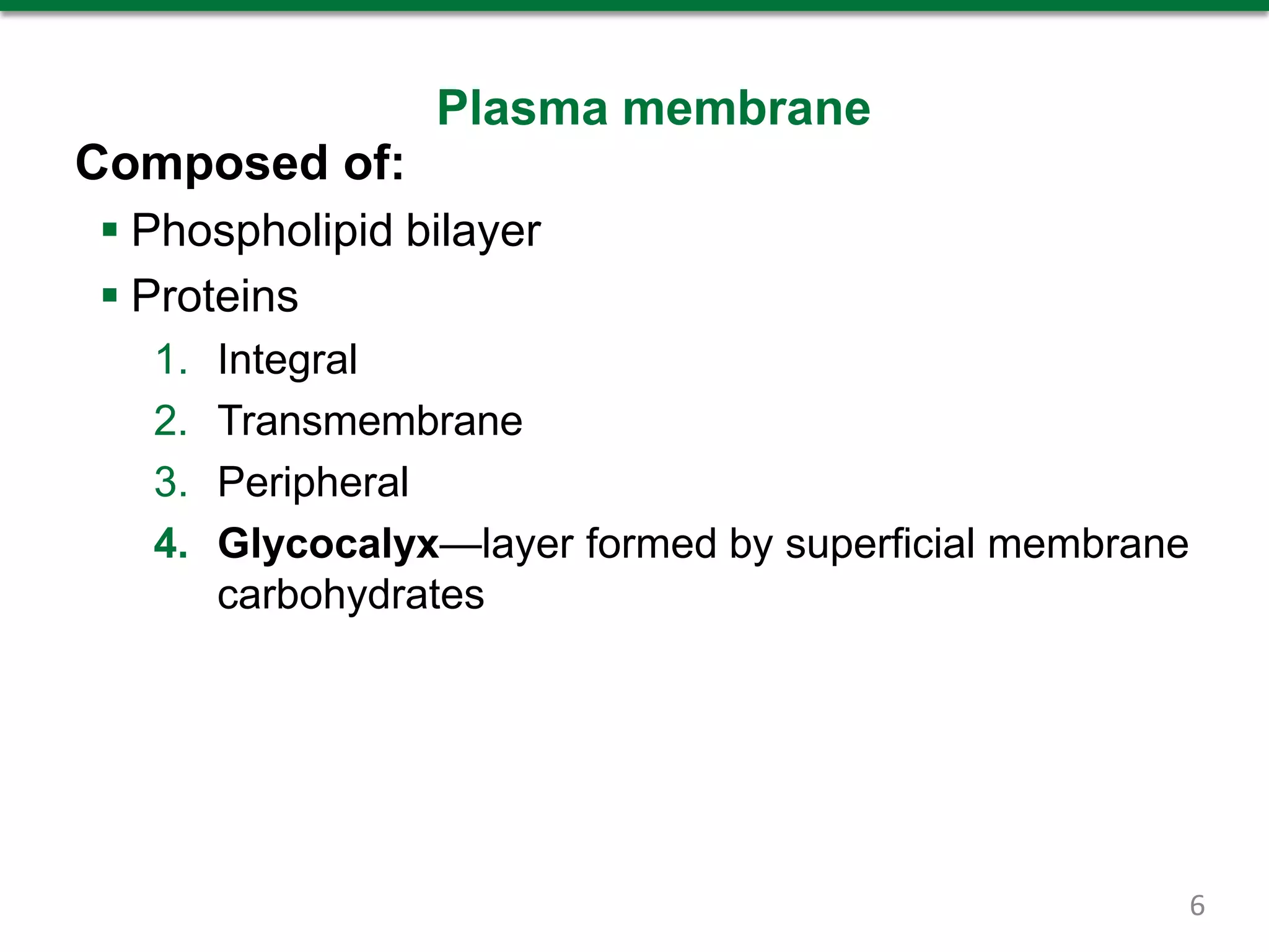Plasma membrane
Composed of:
 Phospholipid bilayer
 Proteins
1. Integral
2. Transmembrane
3. Peripheral
4. Glycocalyx—layer formed by superficial membrane
carbohydrates
6
 