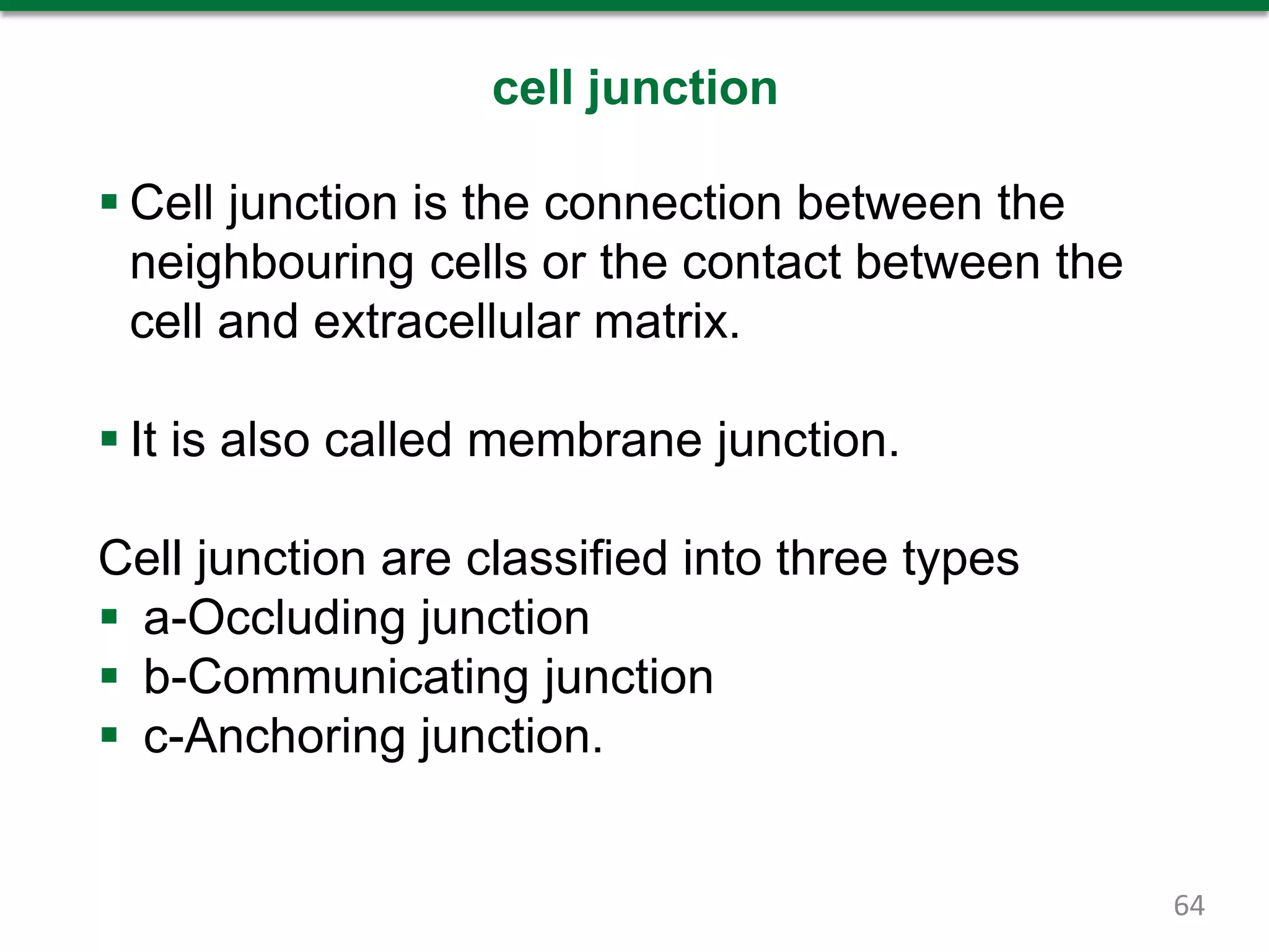cell junction
 Cell junction is the connection between the
neighbouring cells or the contact between the
cell and extracellular matrix.
 It is also called membrane junction.
Cell junction are classified into three types
 a-Occluding junction
 b-Communicating junction
 c-Anchoring junction.
64
 