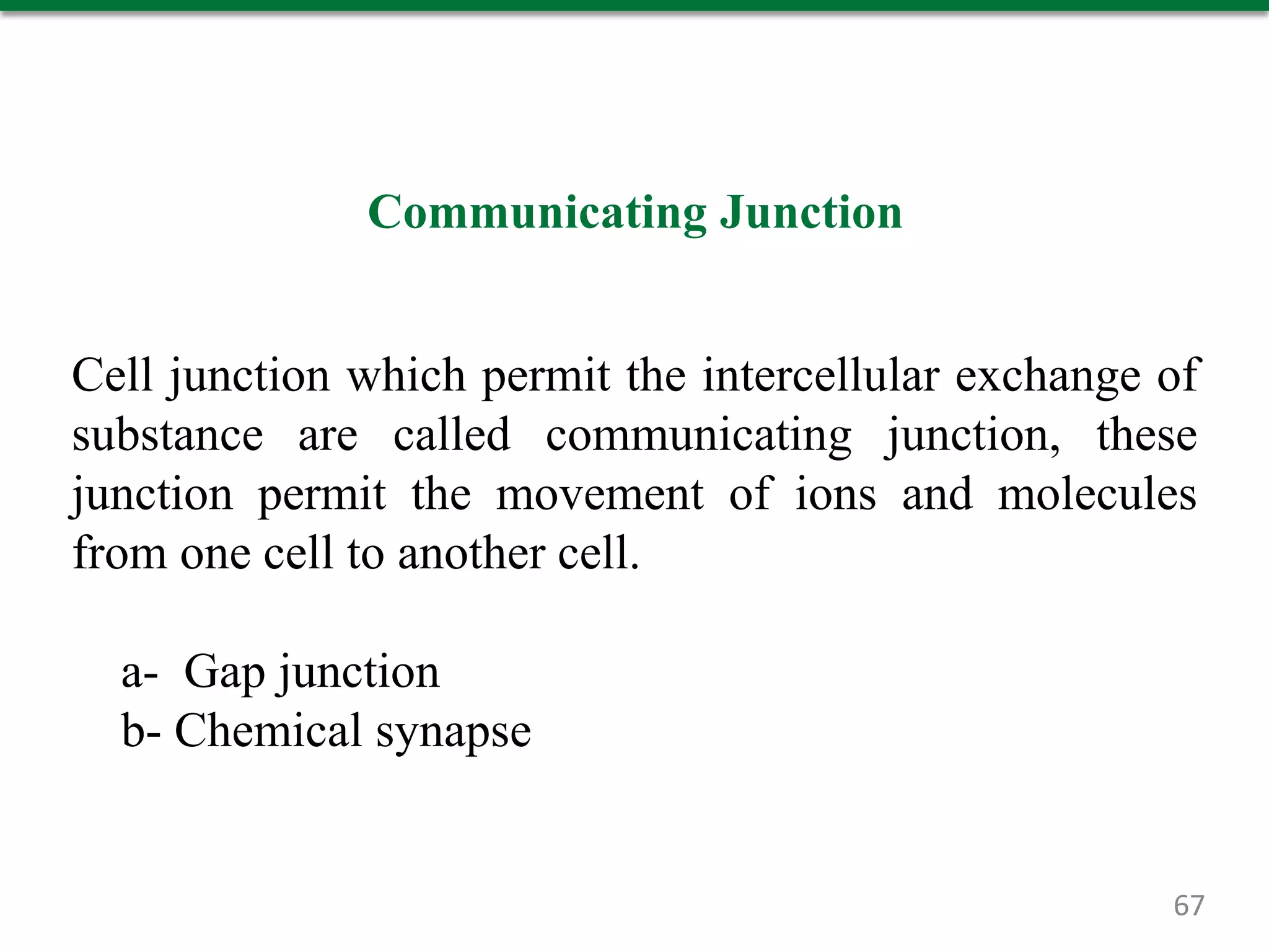 Communicating Junction
Cell junction which permit the intercellular exchange of
substance are called communicating junction, these
junction permit the movement of ions and molecules
from one cell to another cell.
a- Gap junction
b- Chemical synapse
67
 
