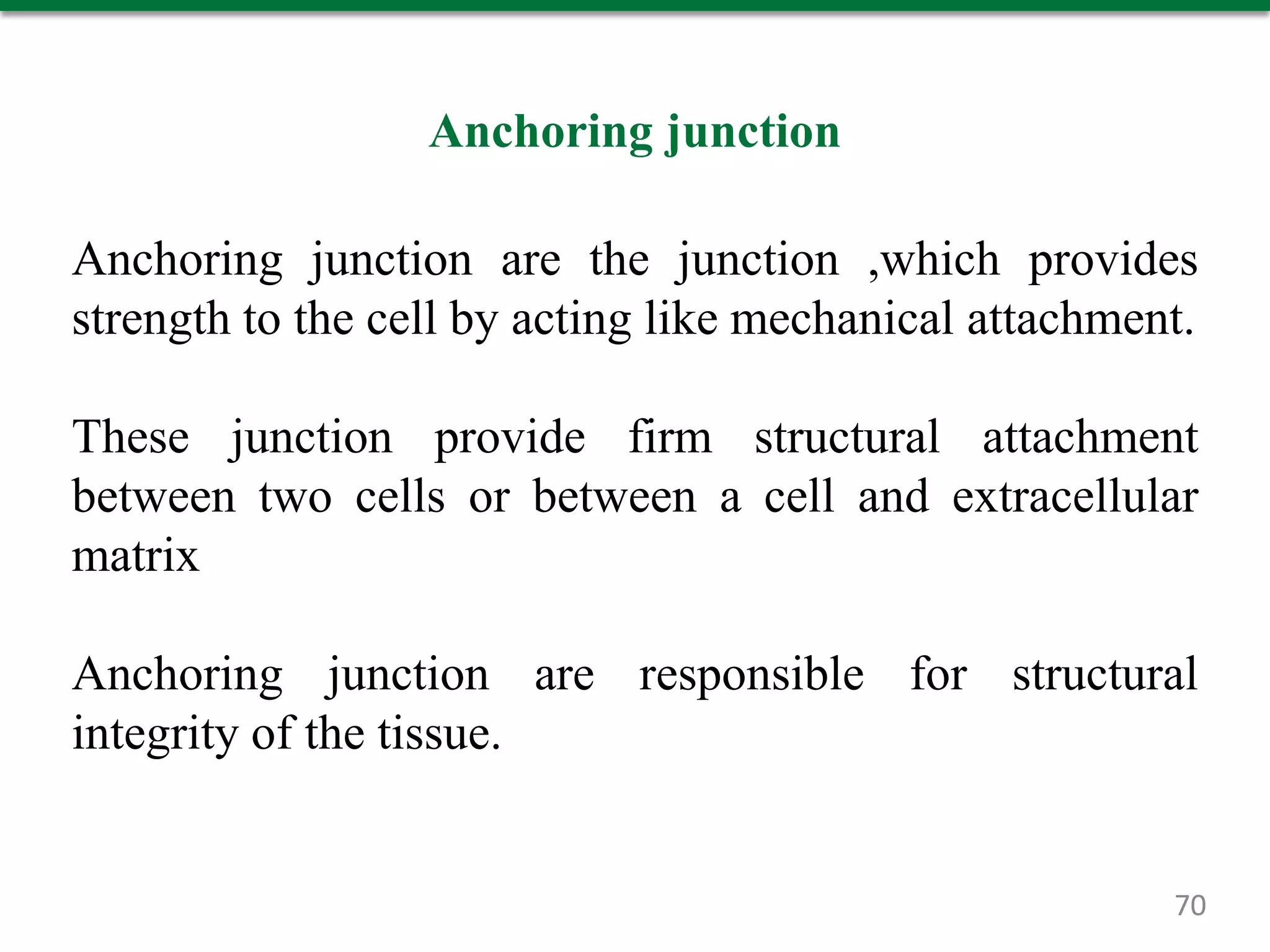 Anchoring junction
Anchoring junction are the junction ,which provides
strength to the cell by acting like mechanical attachment.
These junction provide firm structural attachment
between two cells or between a cell and extracellular
matrix
Anchoring junction are responsible for structural
integrity of the tissue.
70
 