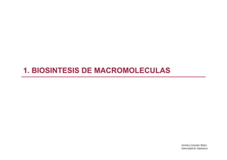 Verónica González Núñez
Universidad de Salamanca
1. BIOSINTESIS DE MACROMOLECULAS
 