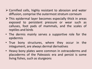 1. Protection, Support, and Movement.pptx